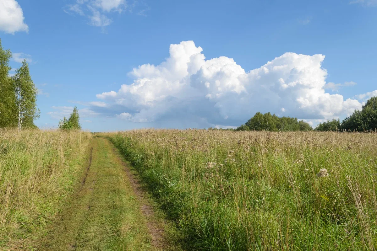Serene Swedish countryside scene featuring a grassy path and expansive sky.